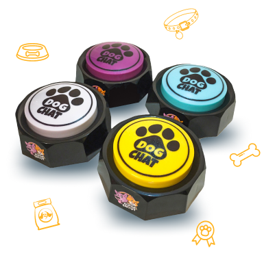 dog talking buttons smart dog chat